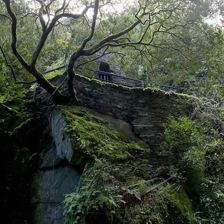 カントリーハウス Piodao Casa Do Rosmaninho Ter Coja