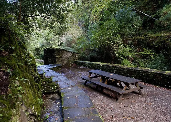 Piódão Casa Do Rosmaninho Ter Casa de Campo Coja