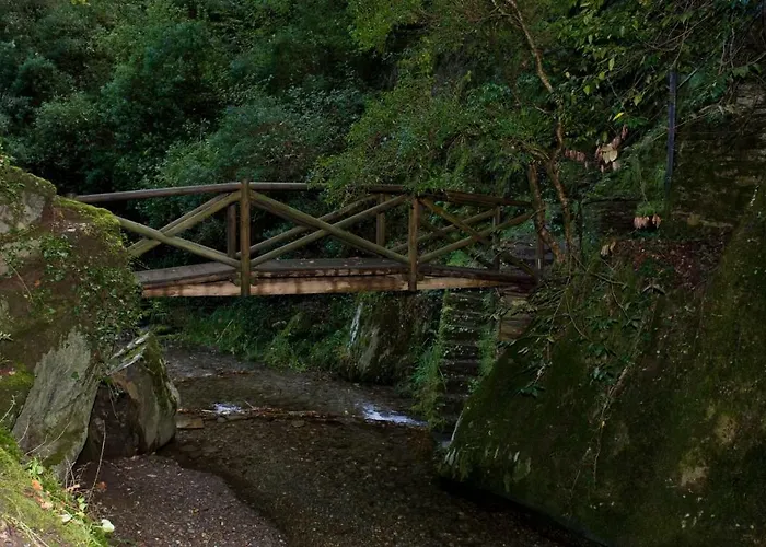 Piódão Casa Do Rosmaninho Ter * Coja