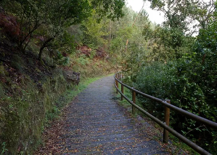Piódão Casa Do Rosmaninho Ter Casa de Campo *