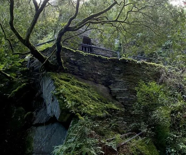 Casa de Campo Piódão Casa Do Rosmaninho Ter Coja
